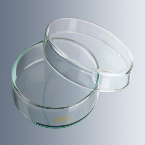 Cajas De Petri: Marienfeld – 3400300