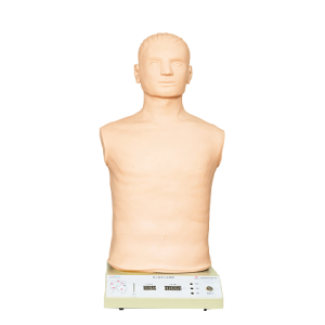 Modelo De Hemostasia: Honglian – GD/J18