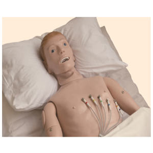 Maniquí de simulación de ECG: Honglian – GD/ZXD190