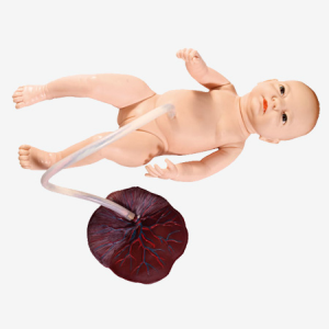 Mod. Cuidado Del Cordón Umbilical: Honglian – GD/H132