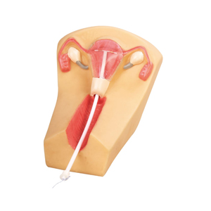 Simulador De Formación DIU: Honglian – GD/F5N